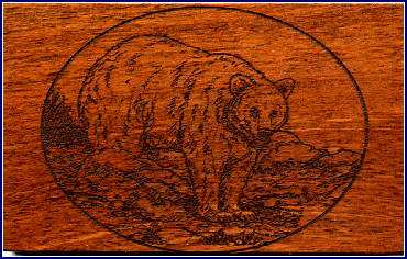 Laser etched bear