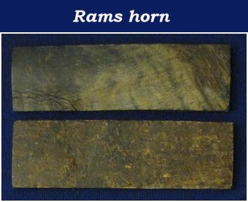 Royal-Craft/Rams-horn-a