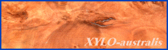 XYLO-australis web site