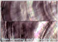Elen Hunting & Importing Inc. - Black lip scales
