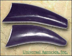 Black horn tapers from Universal Agencies, Inc.